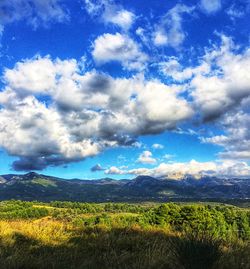 Scenic view of landscape against blue sky