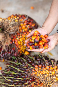 Close-up of hand holding berries