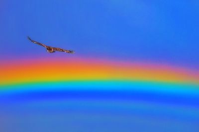 View of rainbow against blue sky