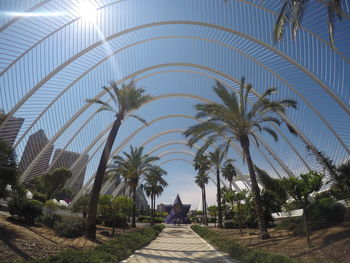 Man amidst palm trees against sky