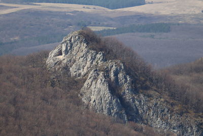 High angle view of trees on landscape