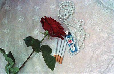 Close-up high angle view of flower