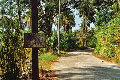 Road amidst trees in forest