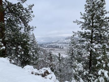 Scenic view of snow covered field against sky