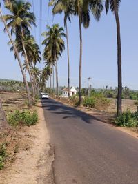 Road by palm trees against clear sky