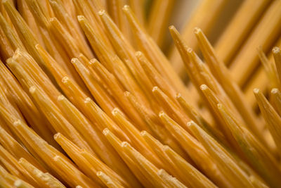 Full frame shot of toothpick