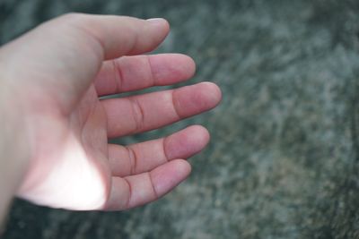 Close-up of person hand holding leaf