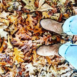 Low section of man standing on autumn leaves