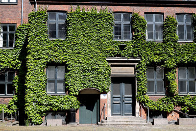 Low angle view of building