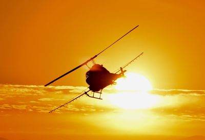 Close-up of silhouette insect against orange sky