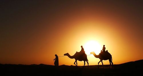 Silhouette people traveling on camels at sunset