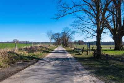 View of trees on landscape against blue sky