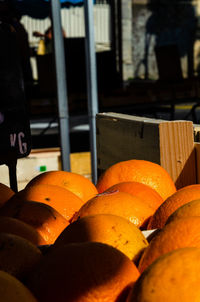 Close-up of orange pumpkins in market