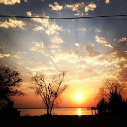 Silhouette of trees at sunset