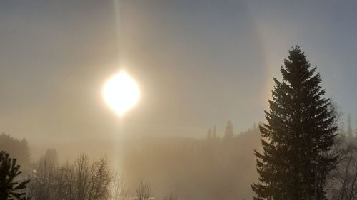 Scenic view of tree against sky during winter