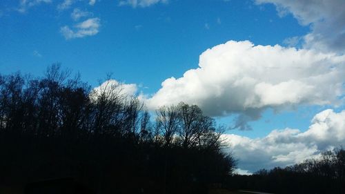 Low angle view of trees against sky