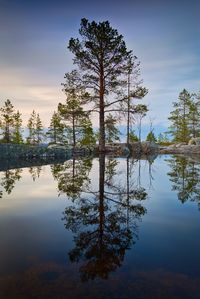 Reflection of trees in lake against sky