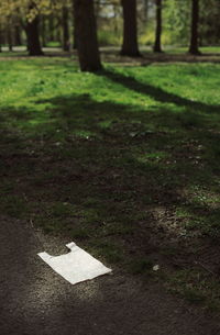 Information sign on tree trunk in field