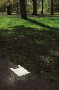 Information sign on tree trunk in field