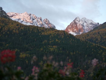 Scenic view of field and mountains against sky