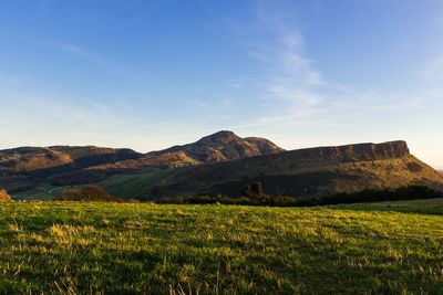 Scenic view of grassy field and mountains against sky