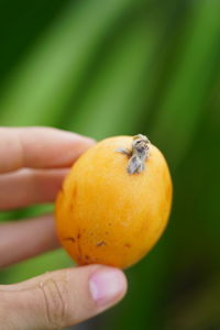 Close-up of hand holding orange