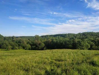 Scenic view of field against sky