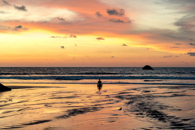 Silhouette person on beach against sky during sunset