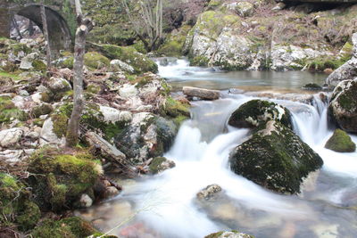 Stream flowing through rocks in forest