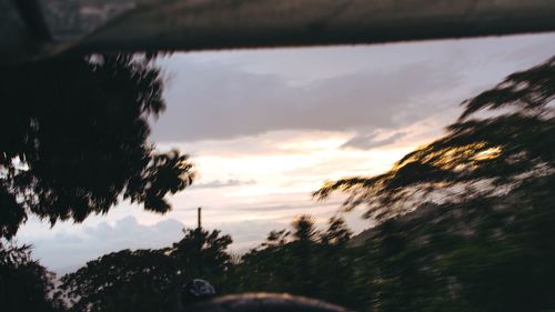 Silhouette trees by plants against sky during sunset