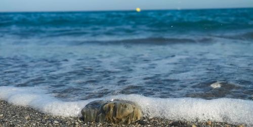 Scenic view of sea waves