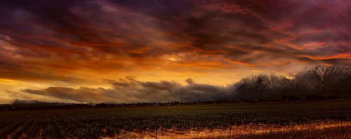 Scenic view of field against cloudy sky