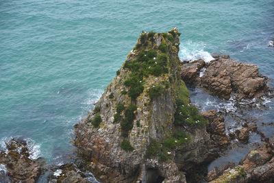 High angle view of rocks on beach