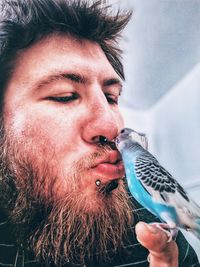 Close-up of young man kissing budgerigar at home