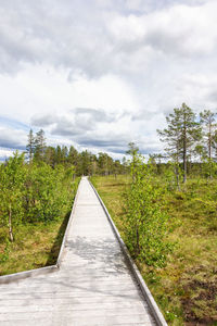 Dirt road amidst trees against sky