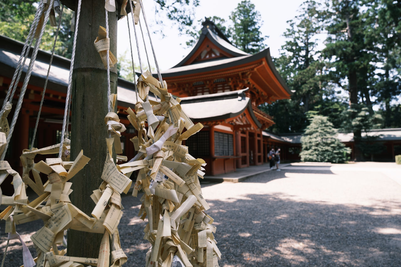 TRADITIONAL BUILDING AGAINST TREES