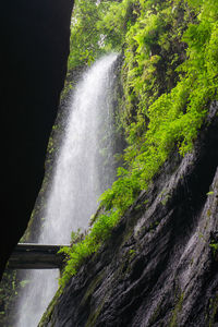 Scenic view of waterfall