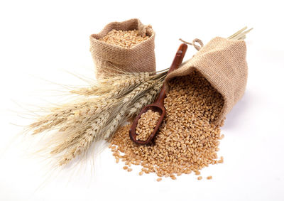 Close-up of wheat on table against white background