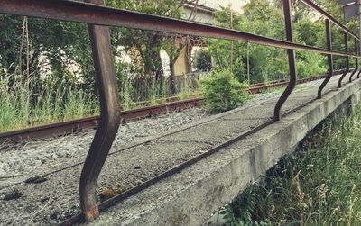 Railroad tracks by trees