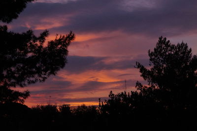 Silhouette trees against sky during sunset