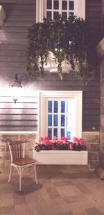 Potted plants on table by window of building