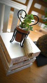 High angle view of potted plant on table