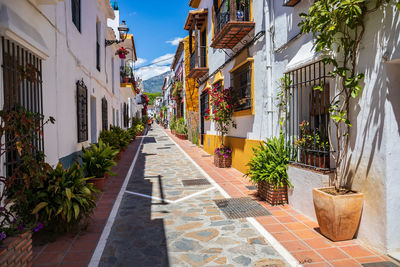 Narrow alley amidst buildings in city