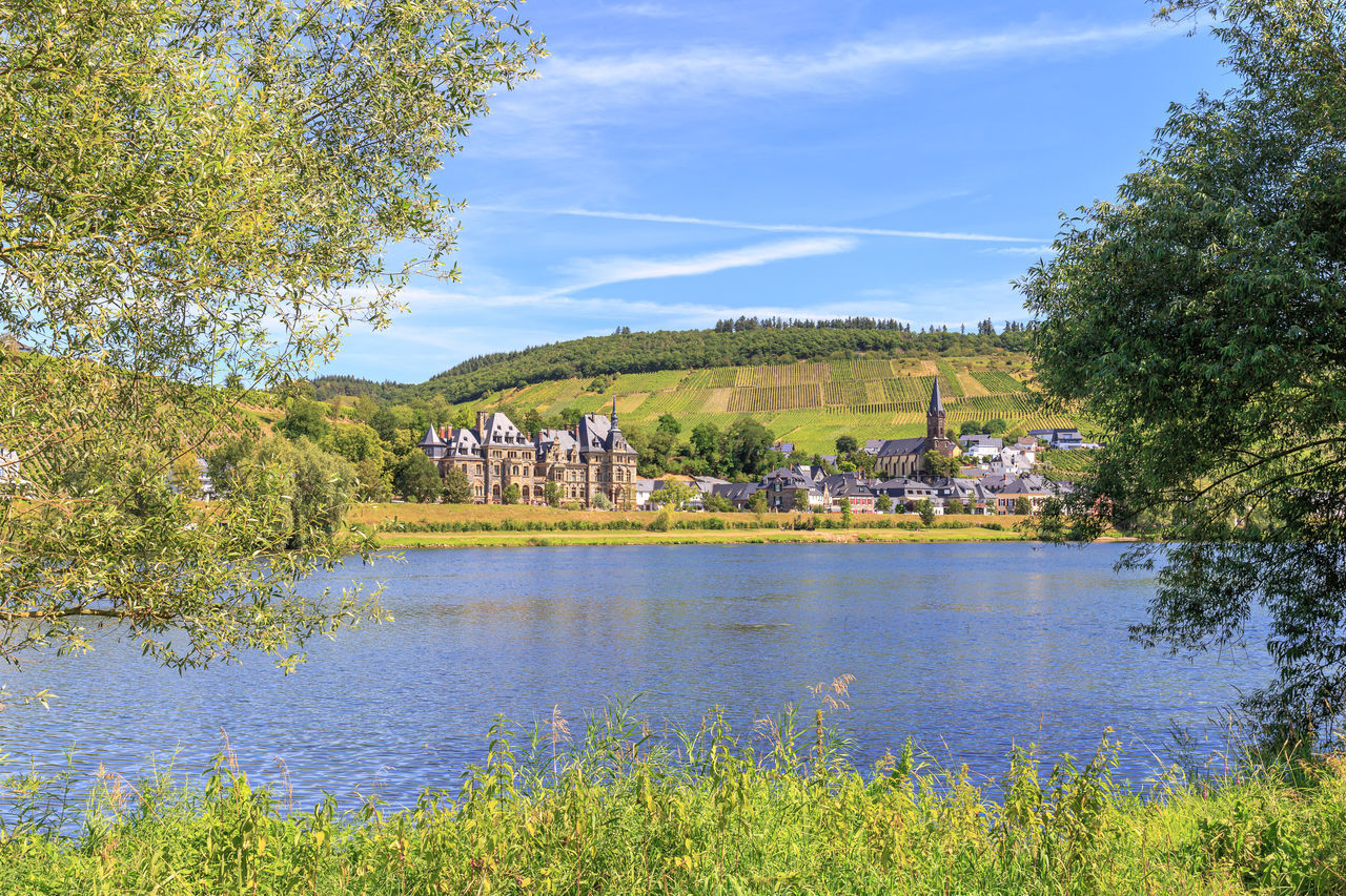 SCENIC VIEW OF LAKE BY TREES AND BUILDINGS AGAINST SKY