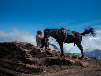 Horse riding horses on mountain against blue sky