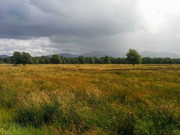 Scenic view of grassy field against cloudy sky