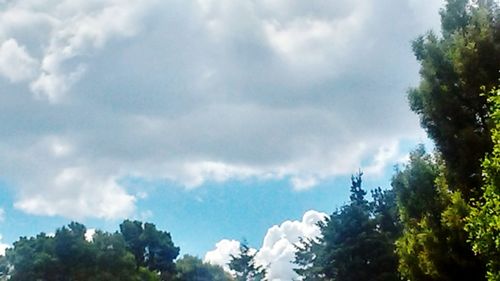 Low angle view of trees against cloudy sky