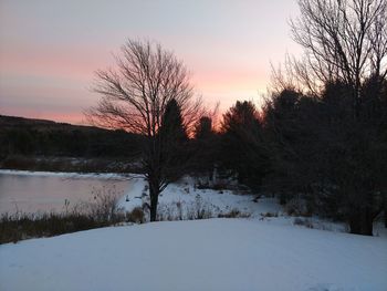 Bare trees on snow covered landscape during sunset