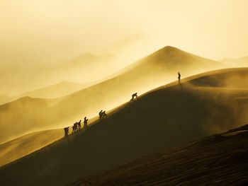 High angle view of people climbing mountain