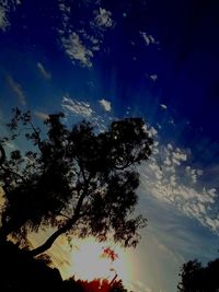 Low angle view of silhouette trees against sky at sunset